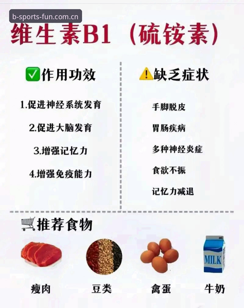 b体育怎么下载常见问题实用指南：从安装到体验的全流程解析